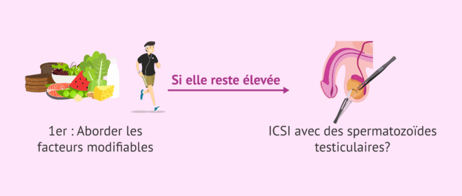 Imagen: Prise en charge de la fragmentation de l'ADN spermatique