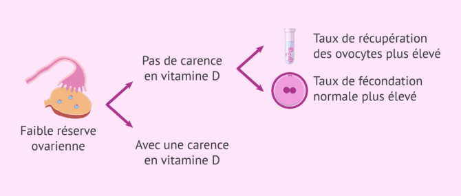 Imagen: Résultats de la FIV avec une faible réserve ovarienne et un déficit en vitamine D
