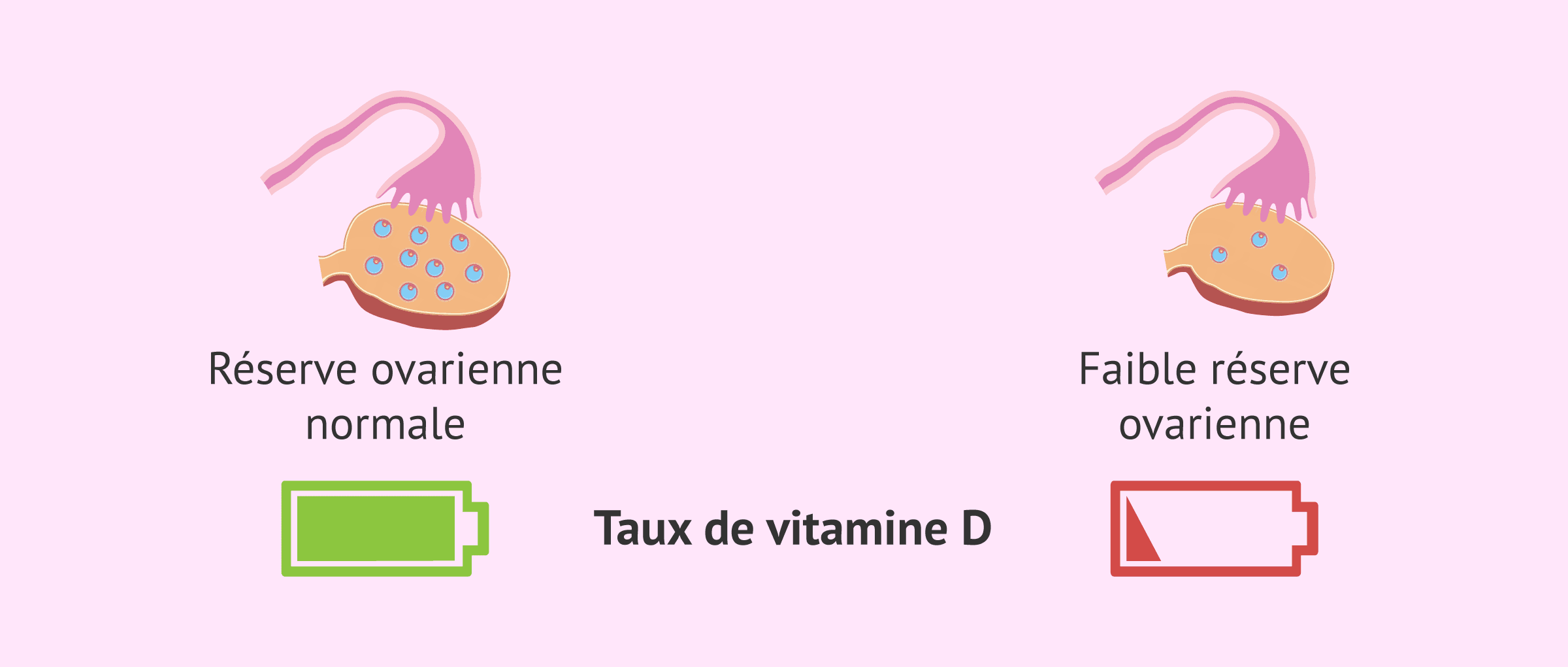 La vitamine D: le secret inattendu de votre faible réserve ovarienne