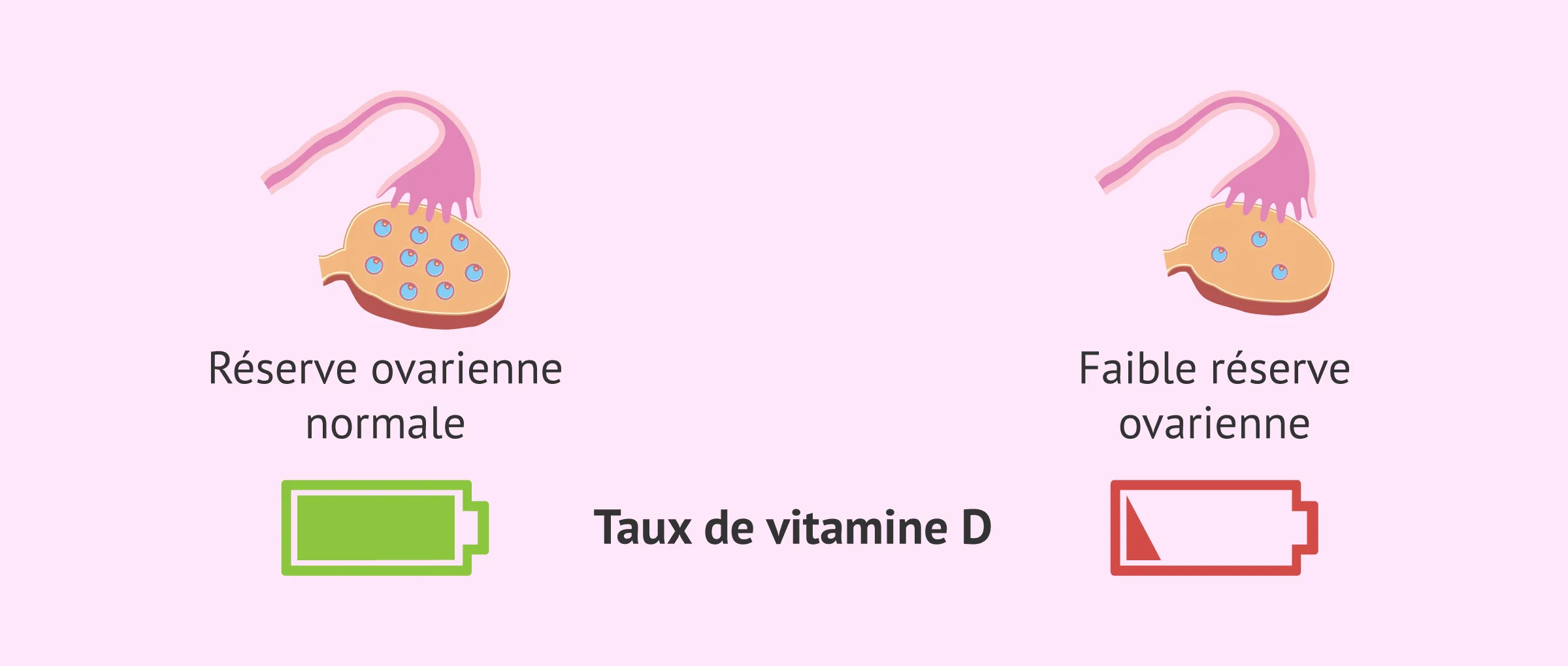 La vitamine D: le secret inattendu de votre faible réserve ovarienne