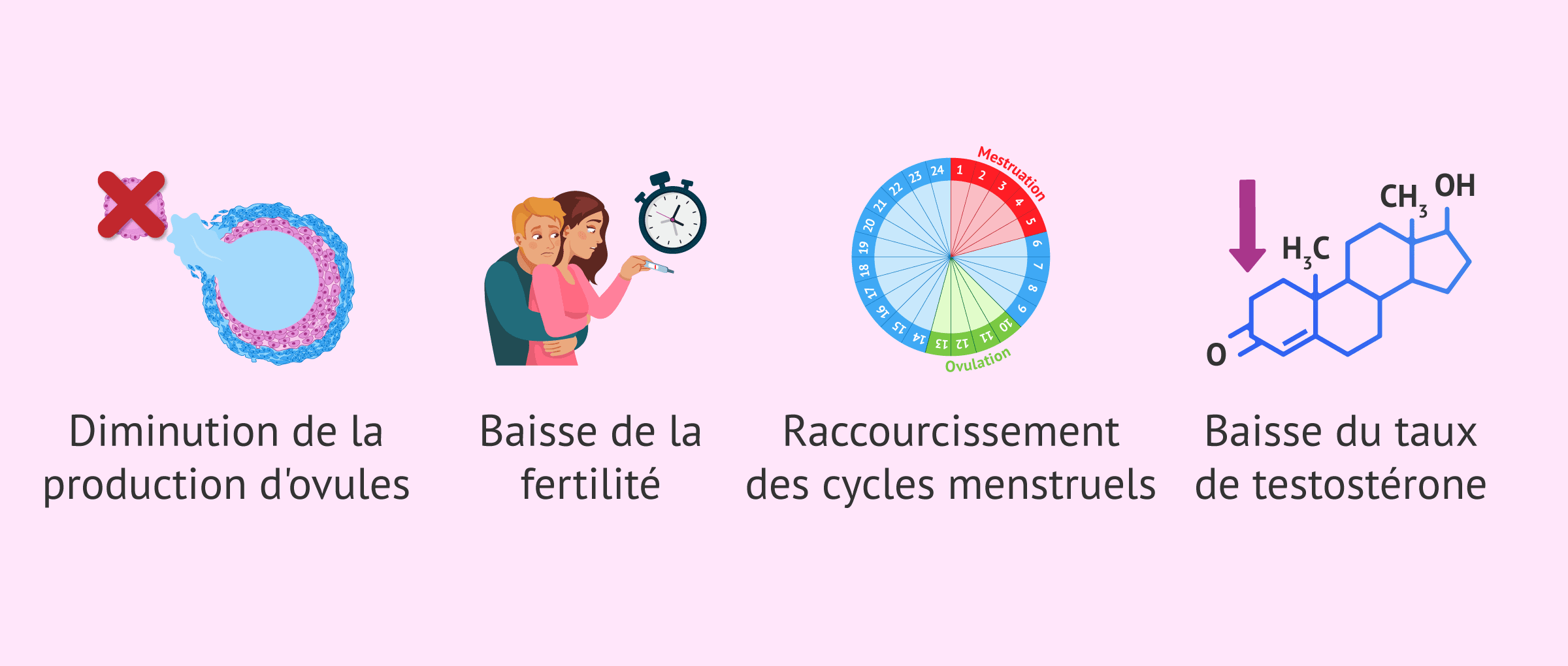 Imagen: Changements dans l'organisme pendant la périménopause
