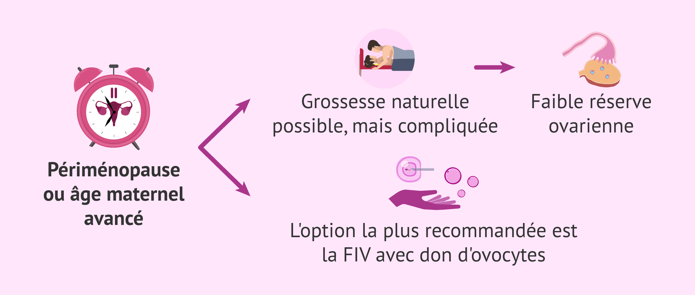 Imagen: Possibilité de grossesse pendant la périménopause