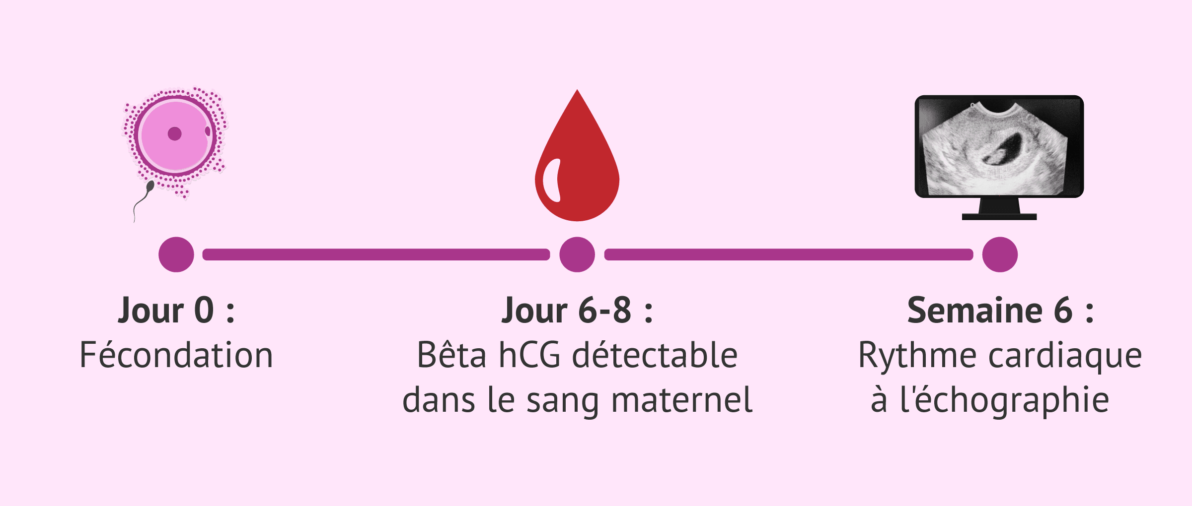 L'incroyable donnée de la bêta hCG qui définit le succès de la grossesse